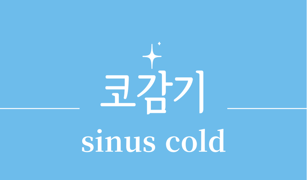 '코감기(sinus cold)'