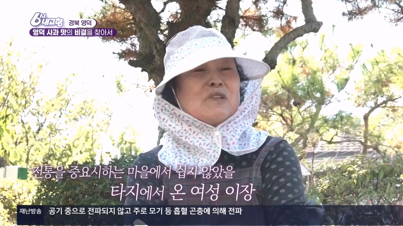 6시 내고향.E7907.231108p.H264-F1RST.mp4_20231108_204719.718.jpg