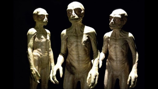  렙틸리언의 목적과 인류에게 미치는 영향, 수메르 아눈나키 외계인과 렙틸리언, 용(Dragon)과 렙틸리언