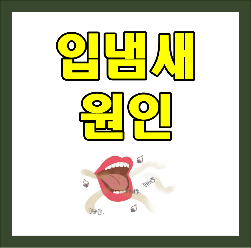  입냄새 심한 이유 원인 알아보기