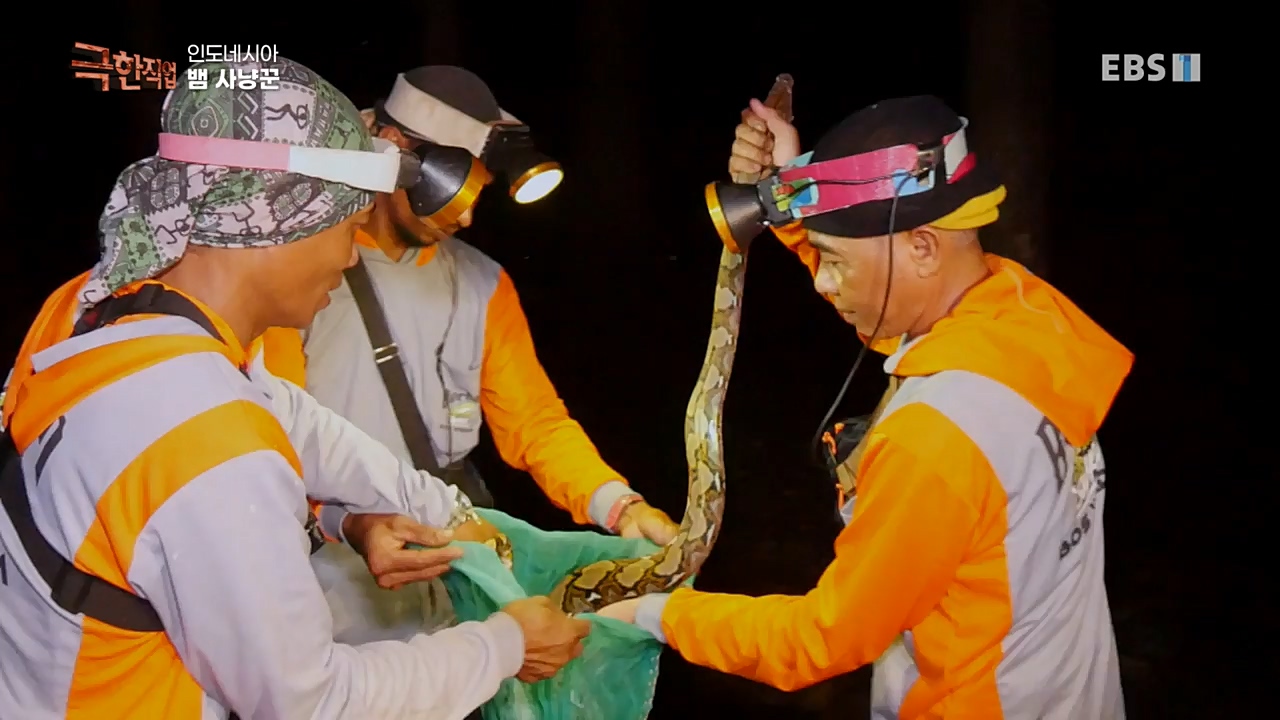 TV - 교육의 중심 EBS인도네시아 뱀사냥꾼.mp4_20221211_181510.119.jpg