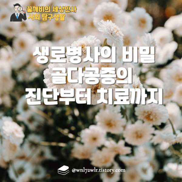 생로병사의 비밀: 골다공증의 진단부터 치료까지 완벽 가이드