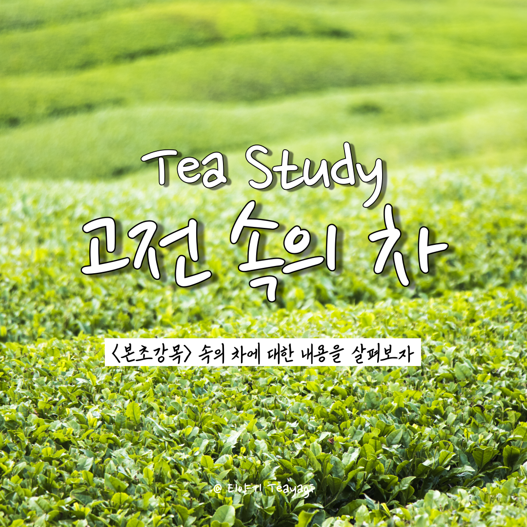  다함께 중국차 | 고전 속의 차(茶) - 본초강목(本草纲目) 속의 차(茶)