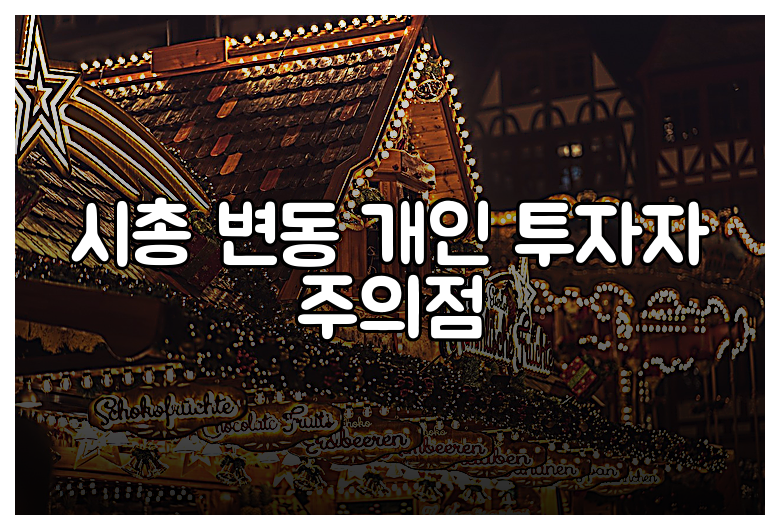 시총 변동 개인 투자자 주의점