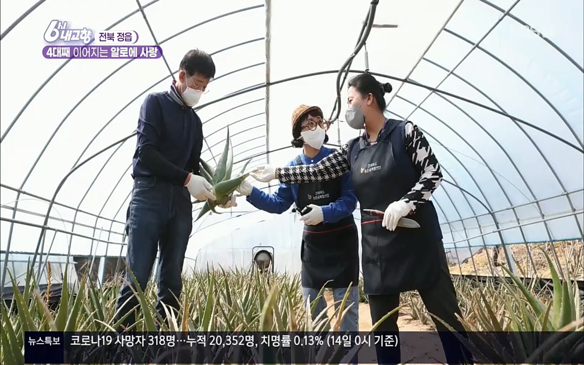 6시 내고향.E7511.220415p.H264-F1RST.mp4_20220425_174113.745.jpg