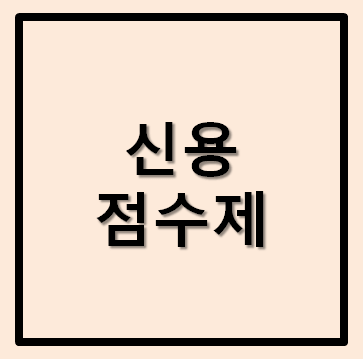  신용점수제 신용카드 발급조건