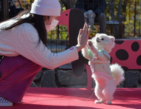 에브리축산 이미지