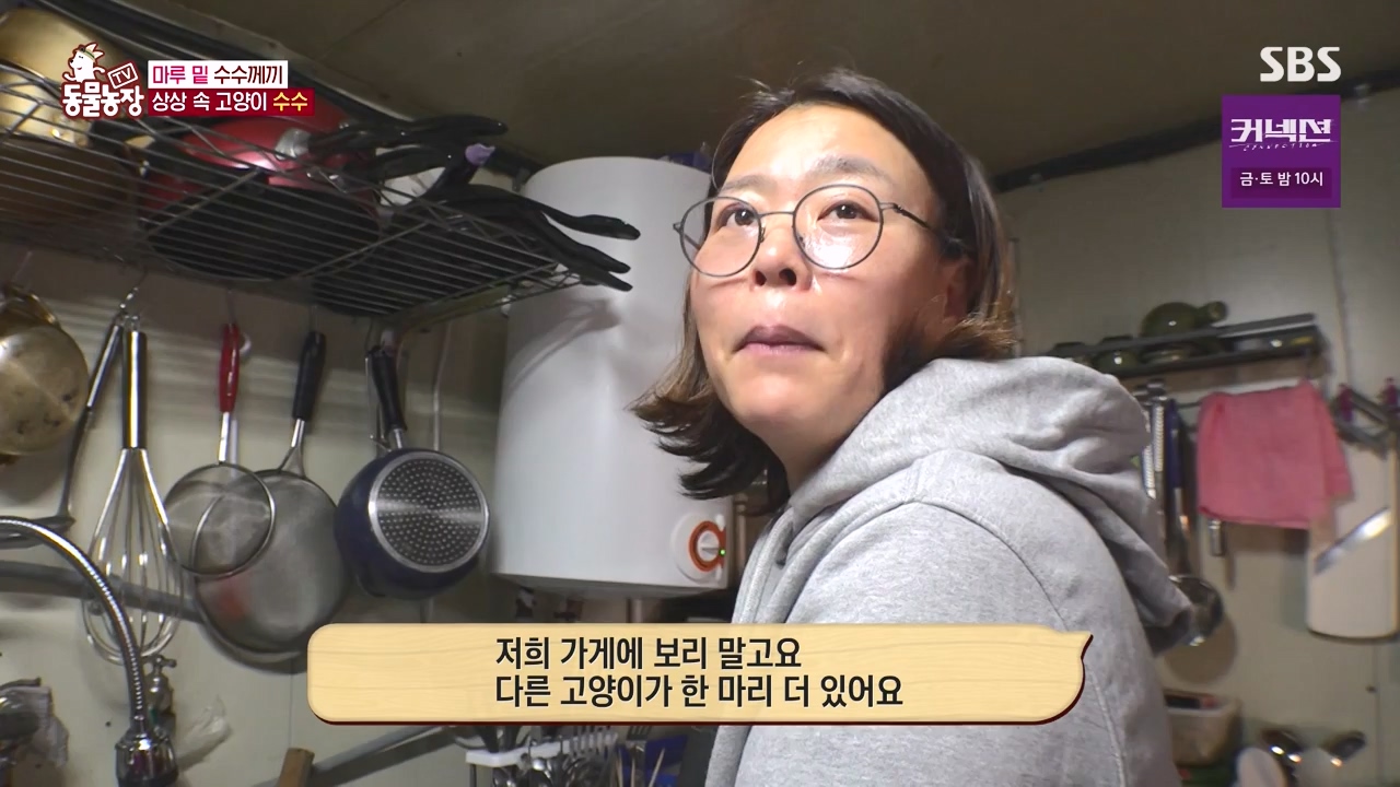 TV 동물농장.E1173.240527p-NEXT.mp4_20240526_155715.288.jpg