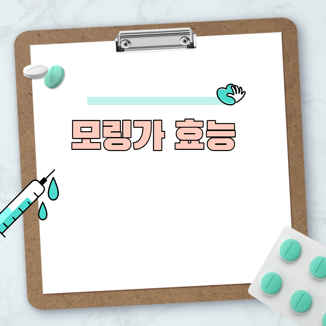  모링가 효능
