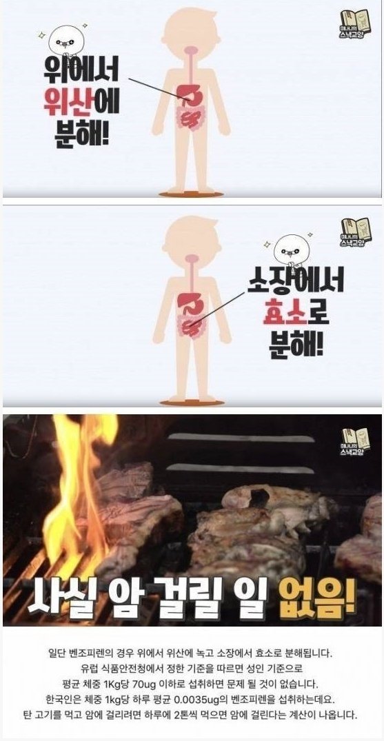  탄고기 벤조피렌 암걸릴 확률?