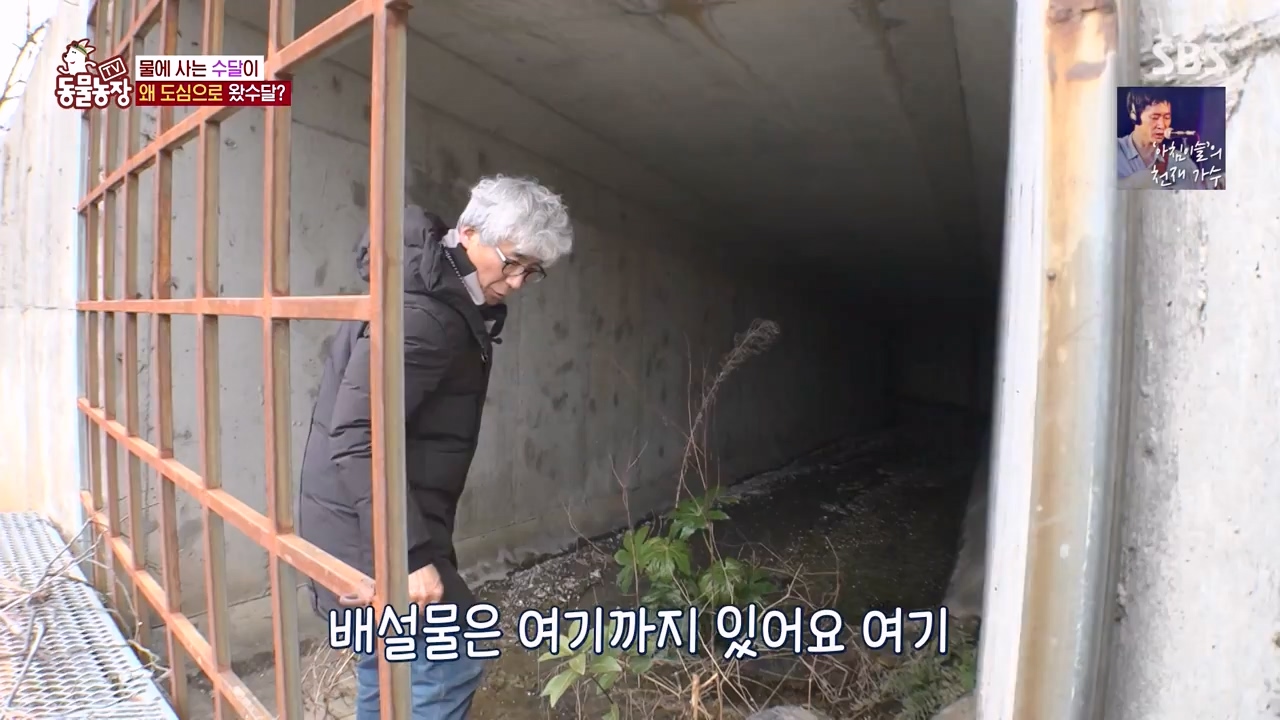 TV 동물농장.E1168.240422p-NEXT.mp4_20240421_170940.415.jpg