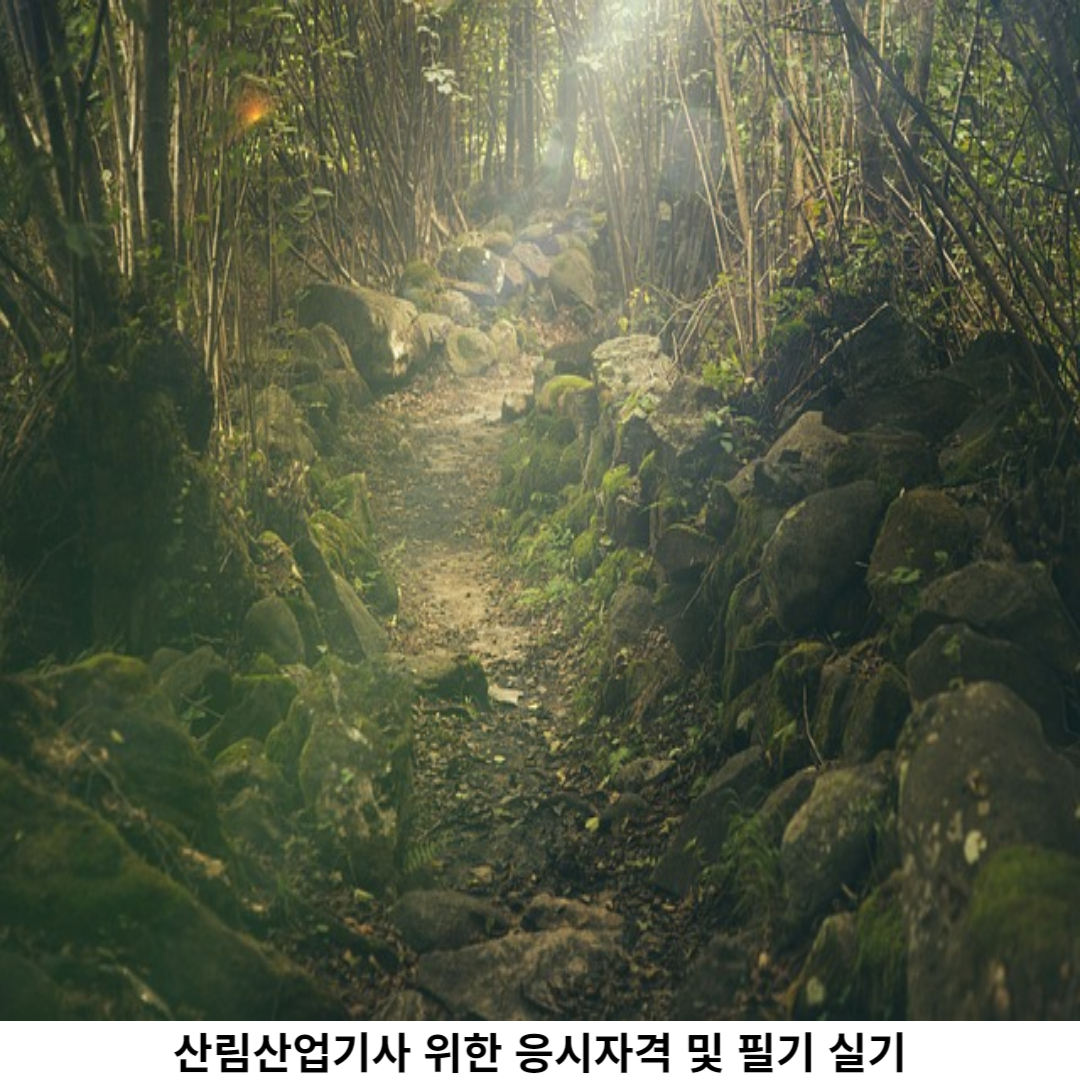 산림산업기사