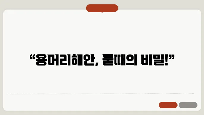 9월 제주 여행지 추천: 용머리해안에서의 물때 시간 알아보기