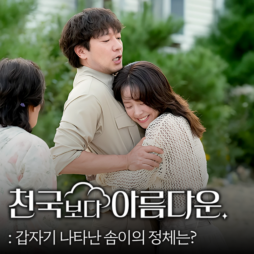 천국보다 아름다운 솜이 정체