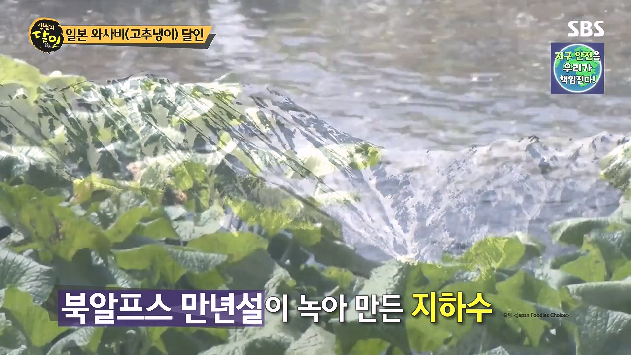 생활의 달인.E908.231017p-NEXT.mp4_20231017_200334.845.jpg
