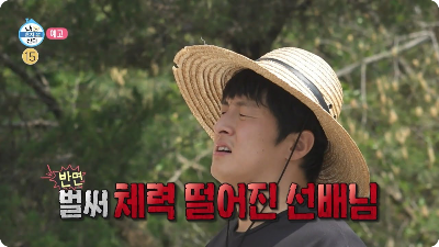 기안84