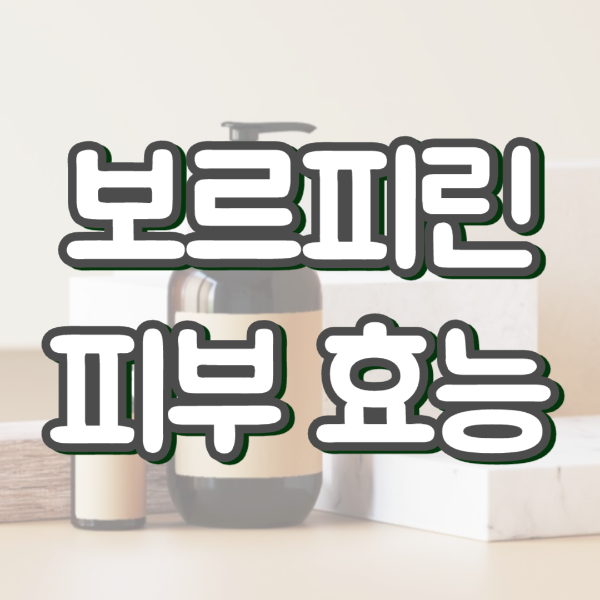 보르피린 효능