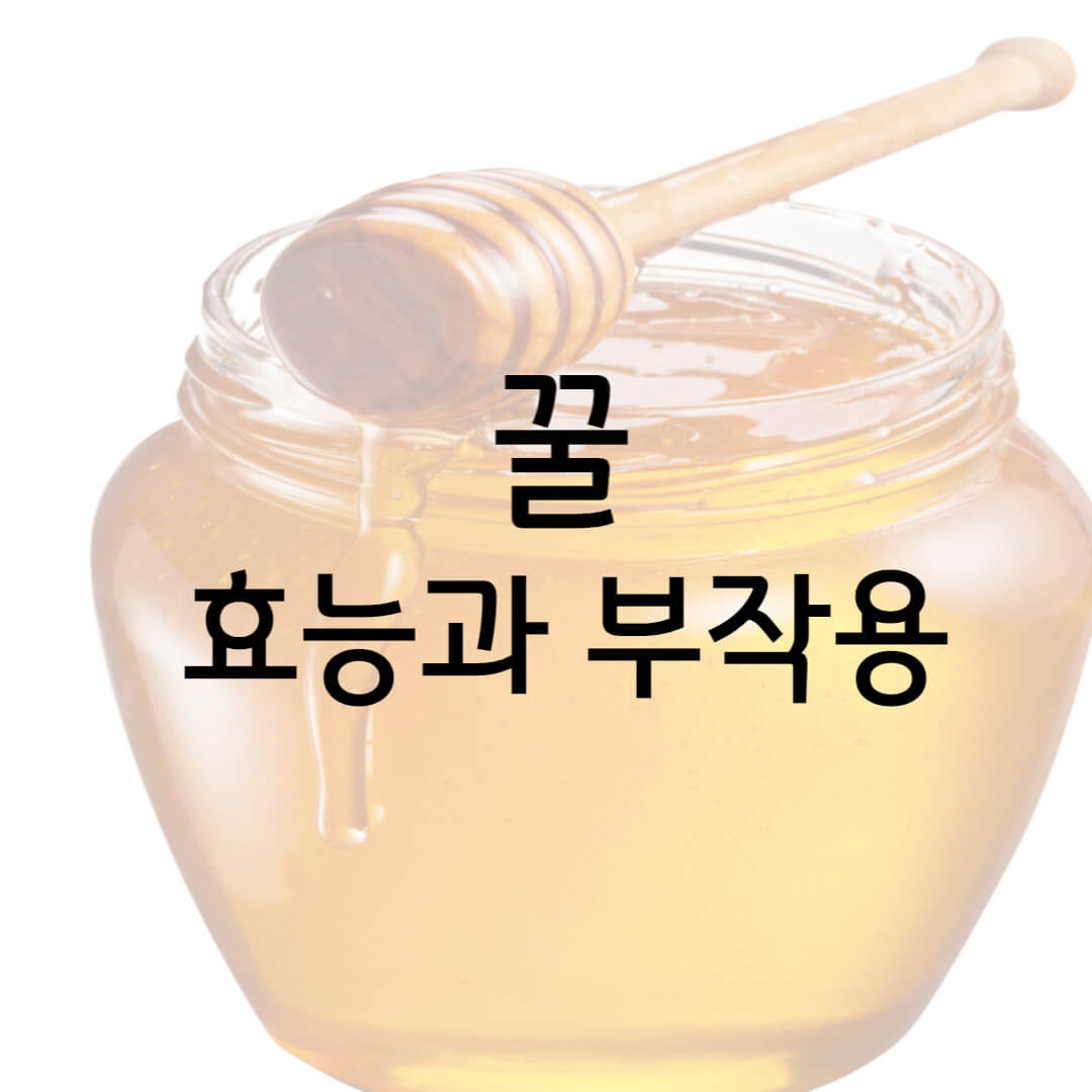  꿀의 효능과 부작용 총정리