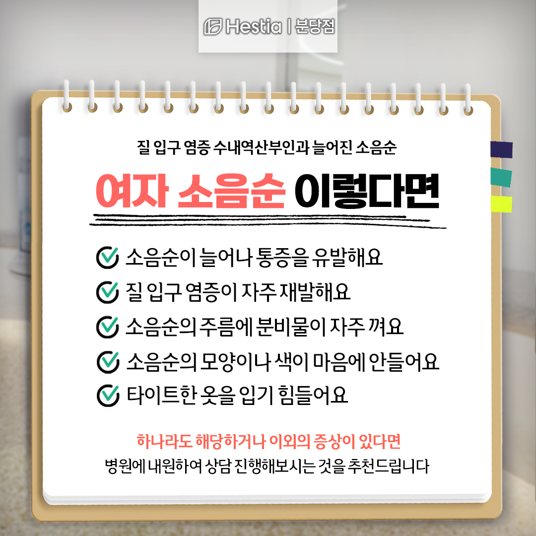 질 입구 염증 수내역산부인과 늘어진 소음순 여자 소음순 이럴땐 수술 추천