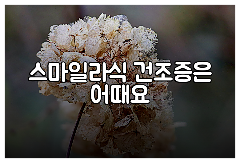 스마일라식 건조증은 어때요