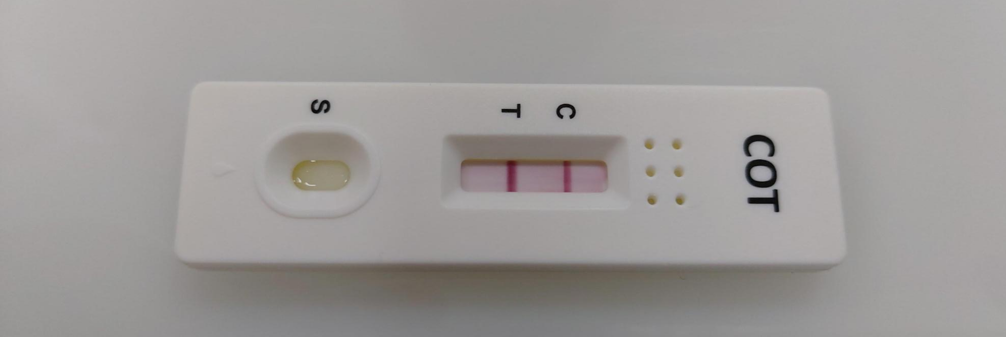  식당 창업_식당을 운영하기 위한 금연, 6개월 경과