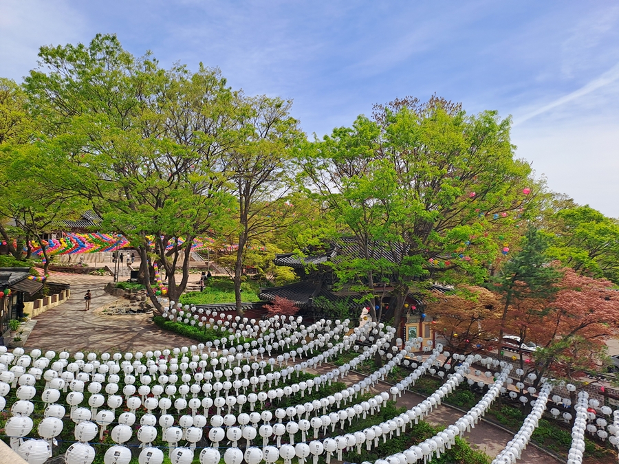 지장전-03