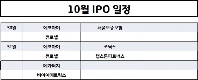 10월다섯째주