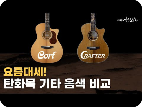 통기타가격추천11