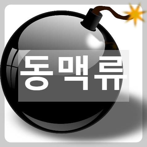  언제 터질지 몰라 위험한 동맥류