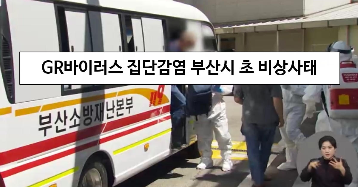  GR 바이러스 집단감염 부산시 초비상