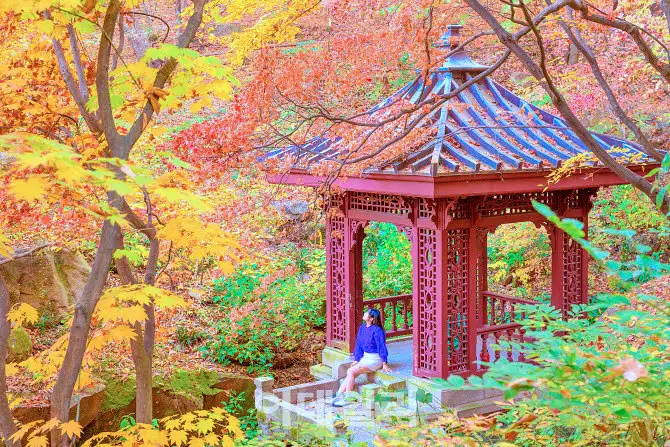 떴다 고여사 서울 단풍여행 조선시대 한옥 비밀정원 숲속 도서관 천연 염색 공방 서울 시내 여행 가볼만한 곳 추천 다시보기