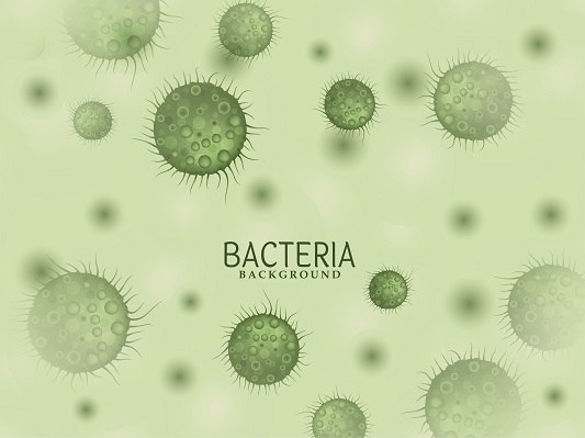 Proliferation-of-beneficial-intestinal-bacteria