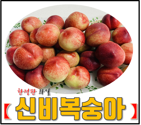 신비복숭아 여름과일 내돈내산 리뷰