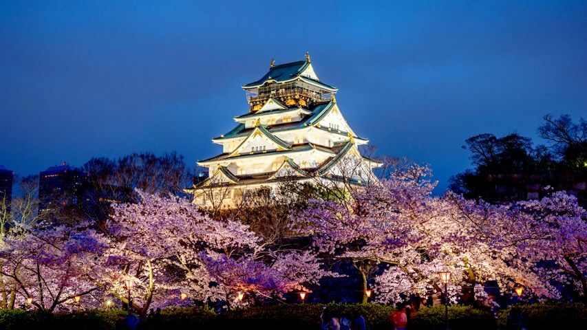 오사카 벚꽃2