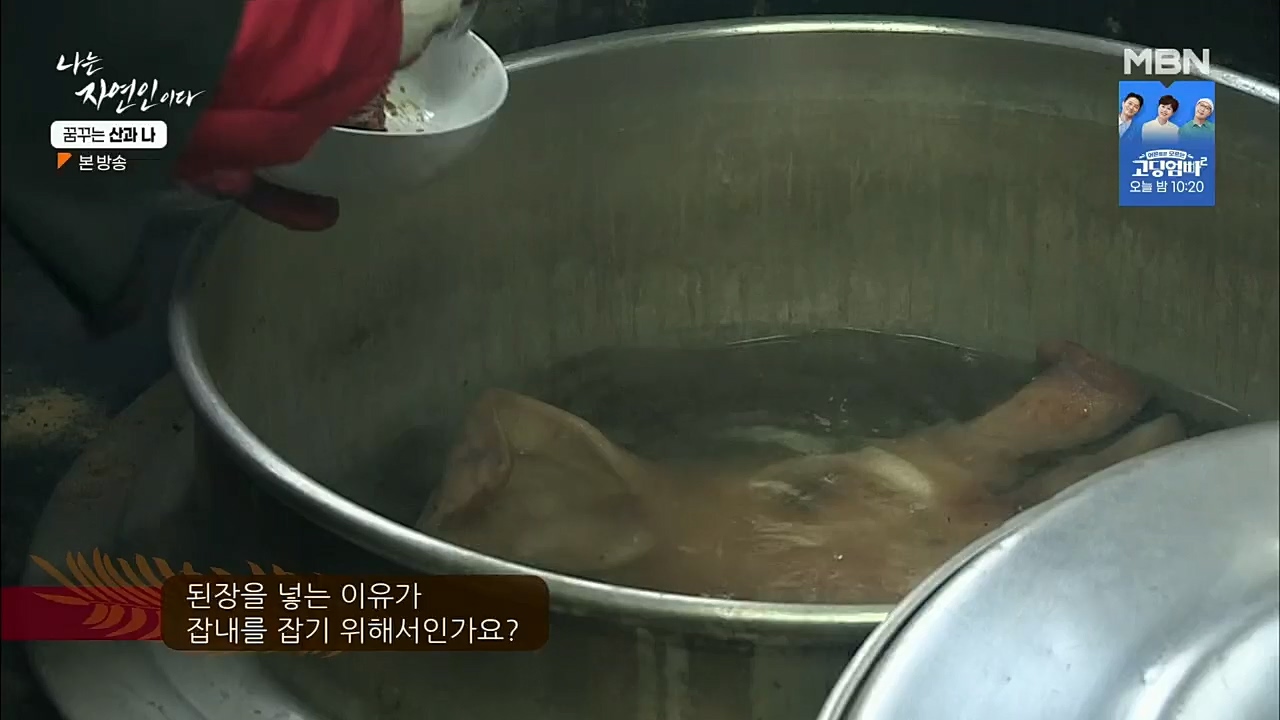 나는 자연인이다.E534.221229p.H264-F1RST.mp4_20221229_200036.599.jpg