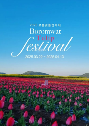 제주보롬튤립축제