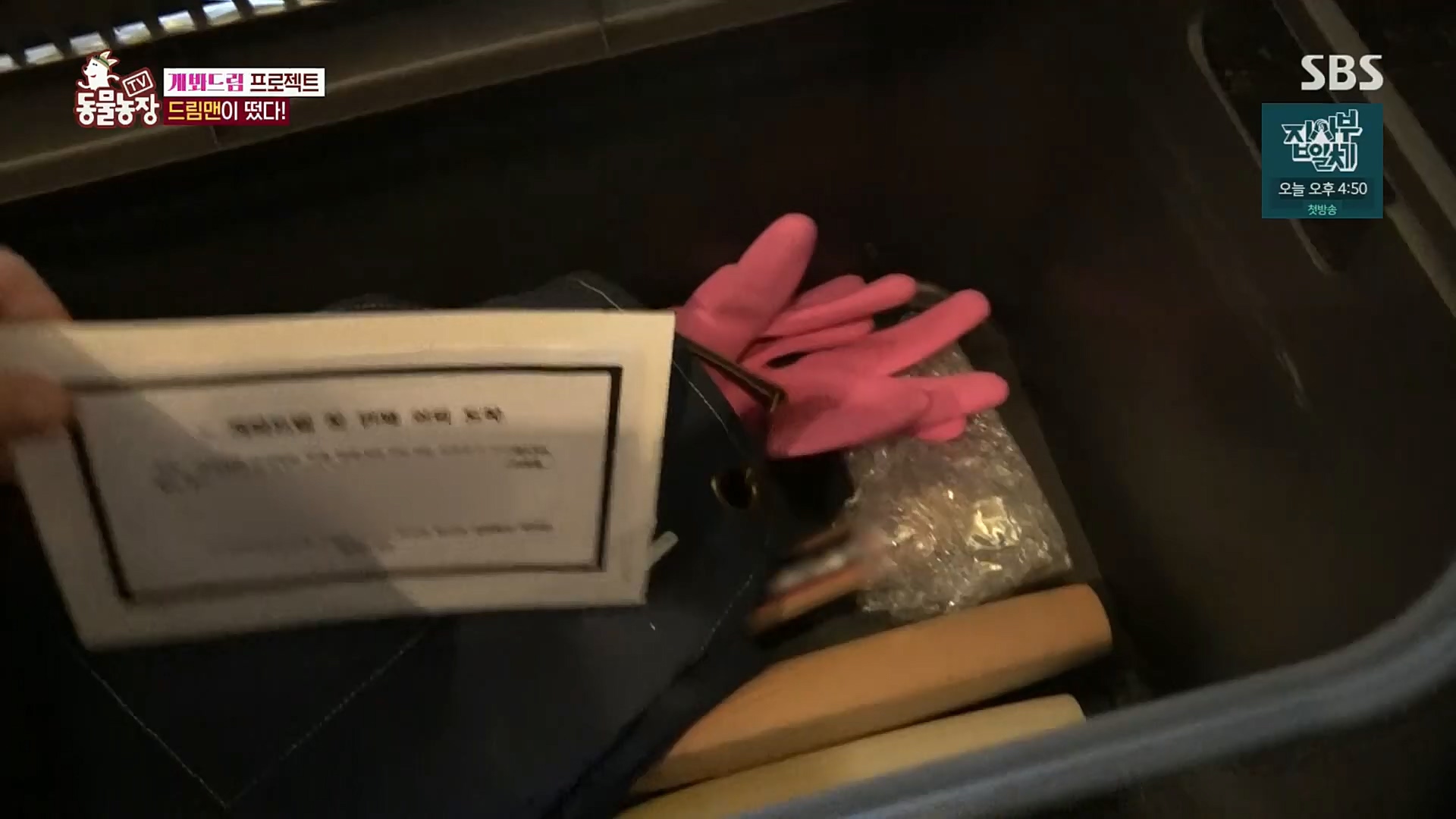 TV 동물농장.E1102.230101p.H264-F1RST.mp4_20230101_182842.195.jpg