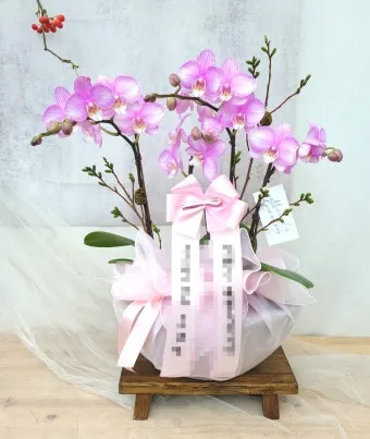 칠순 축하문구 메세지 감동 위로 100선_25