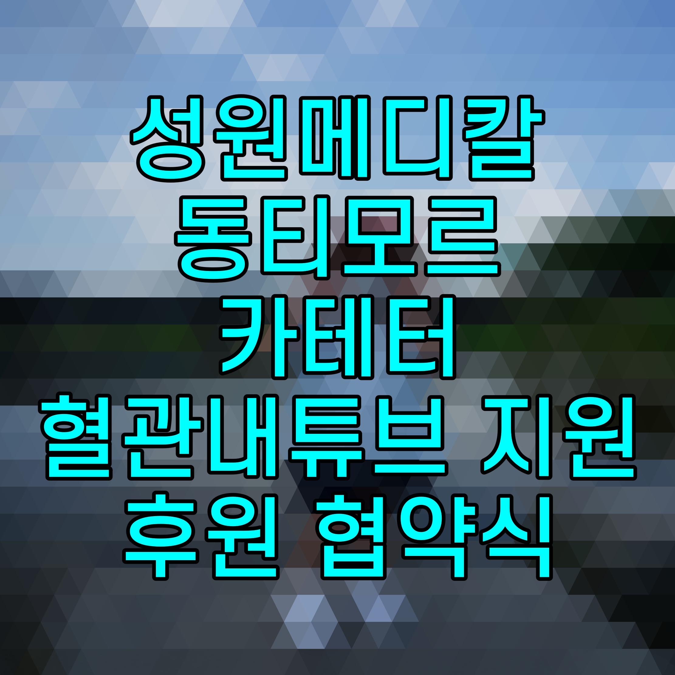  성원메디칼 동티모르 카테터 혈관내튜브 지원 후원 협약식
