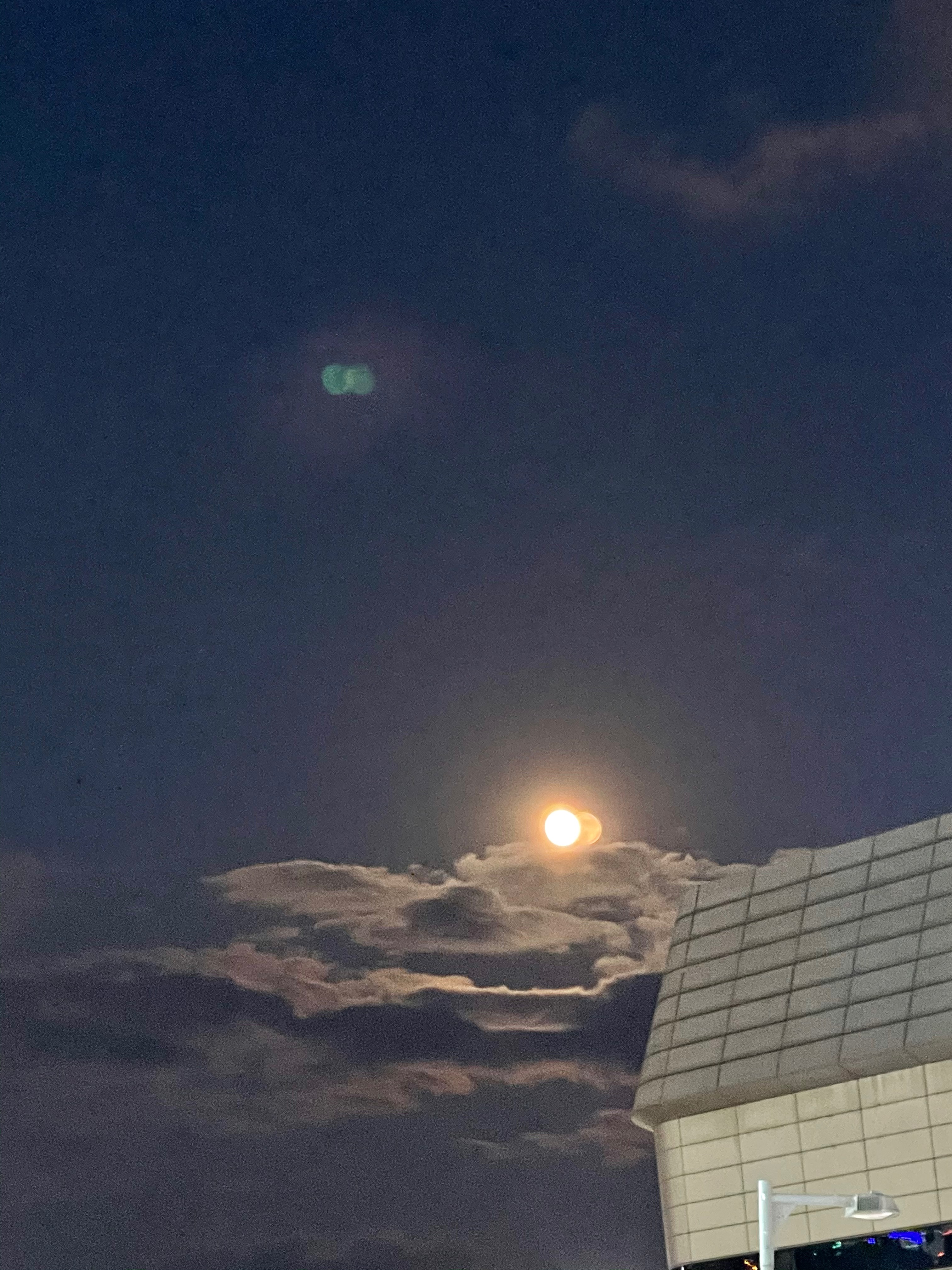  12월 첫째주 일상