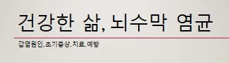 뇌수막염균 개요사진