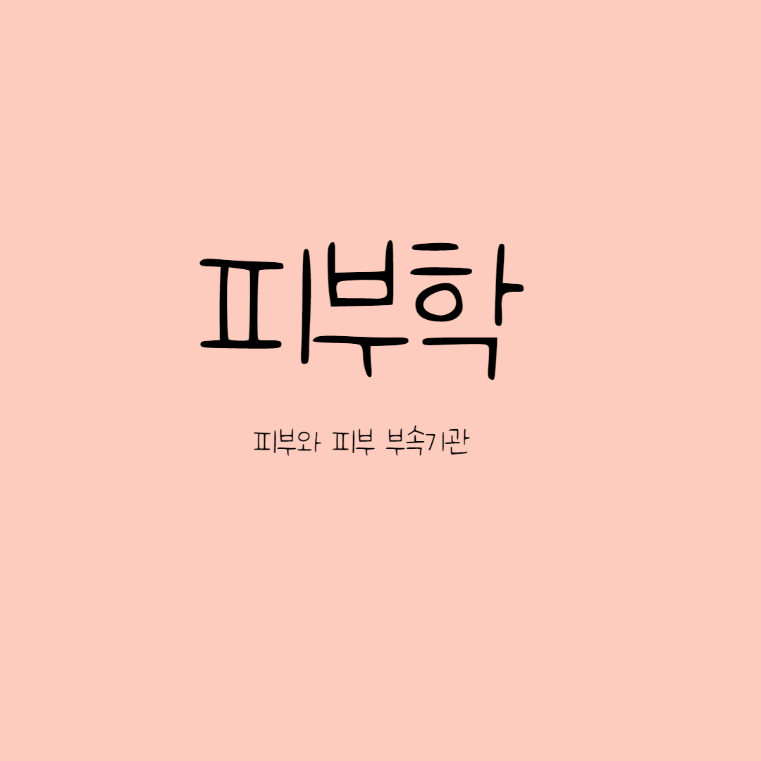  피부와 피부부속기관
