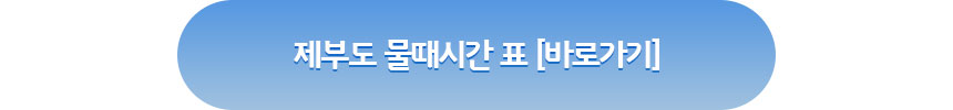 제부도물때시간표