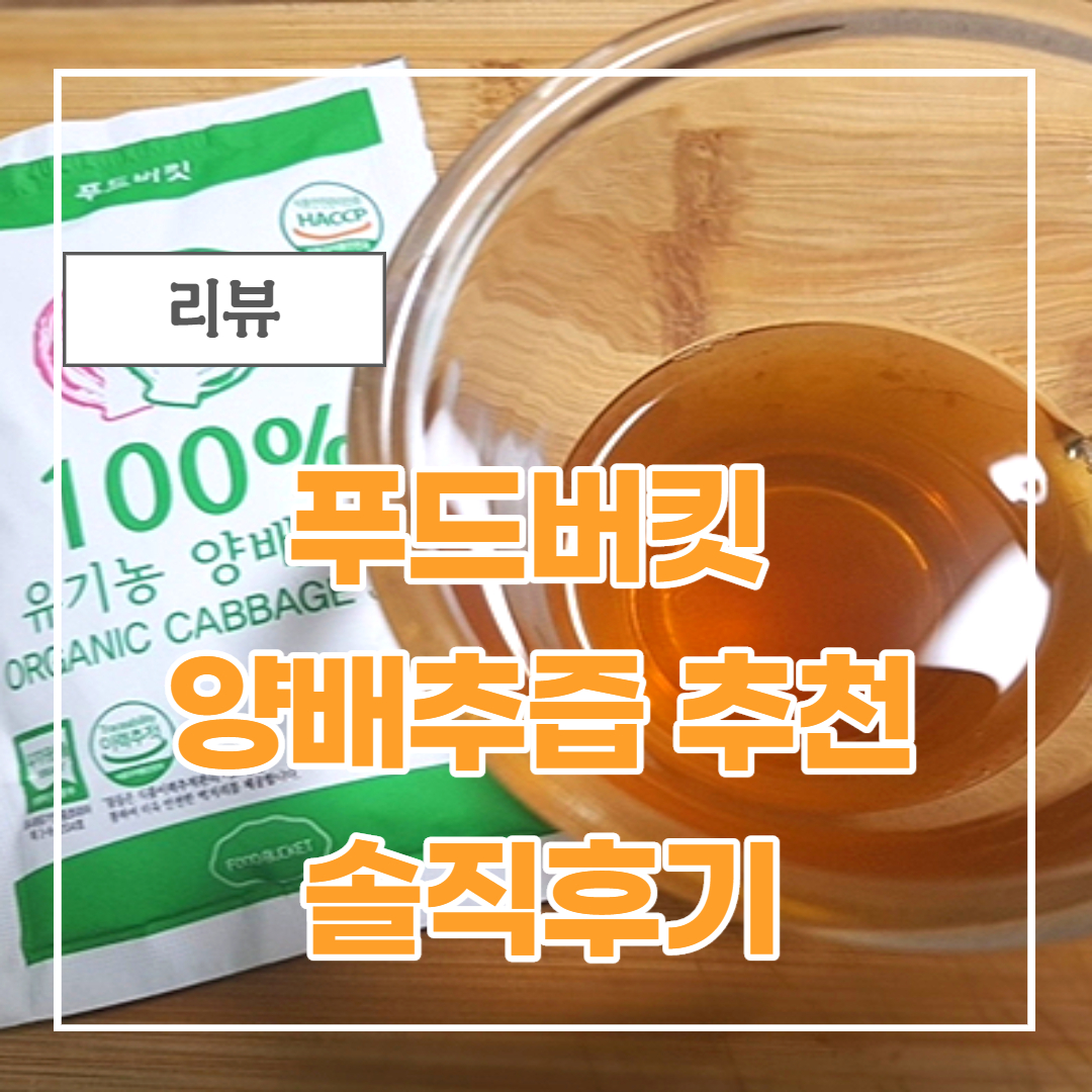  푸드버킷 유기농 양배추즙 추천 위 건강엔 양배추즙