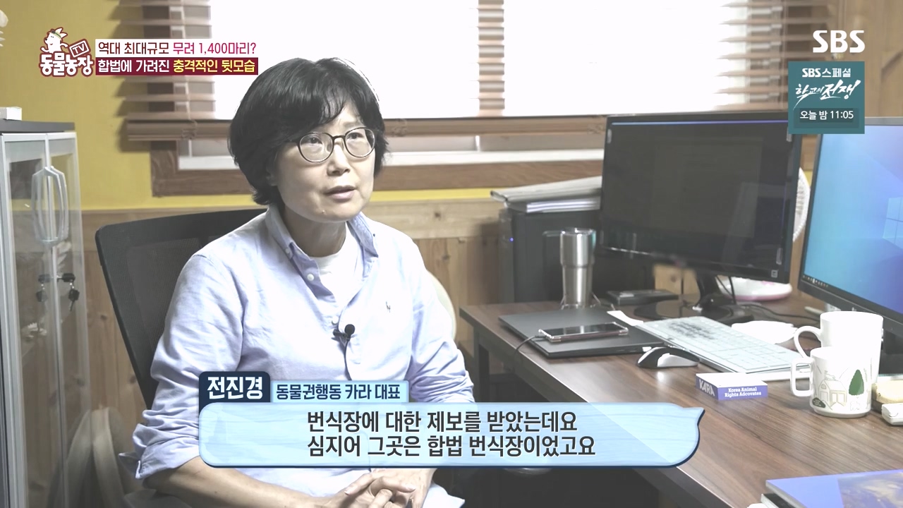 TV 동물농장.E1142.231023p-NEXT.mp4_20231022_171958.687.jpg