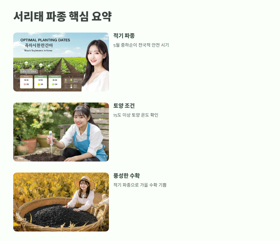 서리태 파종시기 17