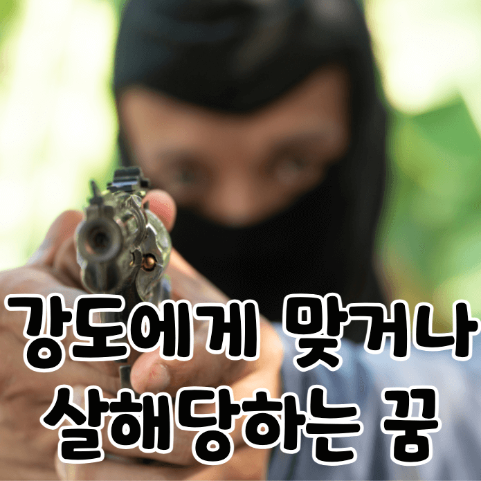 총 든 강도