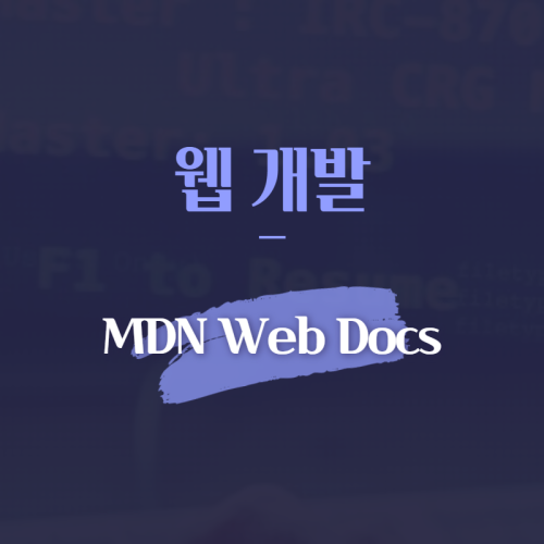 웹 개발 MDN Web Docs