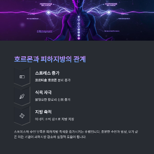 피하지방 제거로 되찾는 건강한 바디라인 전략