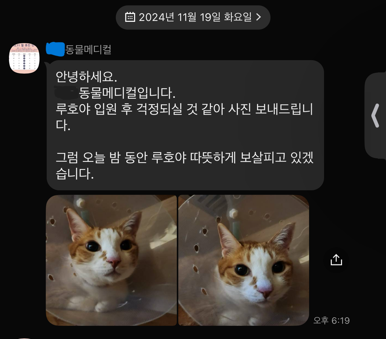 호야_입원한_병원에서_아침_저녁으로_보내주는_소식